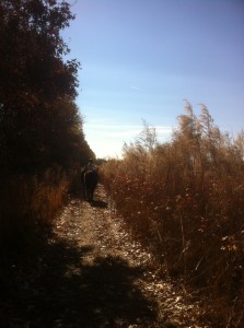 trail ride pic